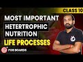 Class 10 Biology: Heterotrophic Nutrition (Holozoic, Saprophytic & Parasitic) #ncert #cbse