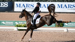 DRESSAGE RIDERS FAILING