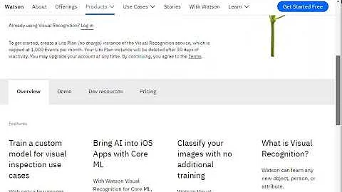 Demo of IBM Visual Recognition