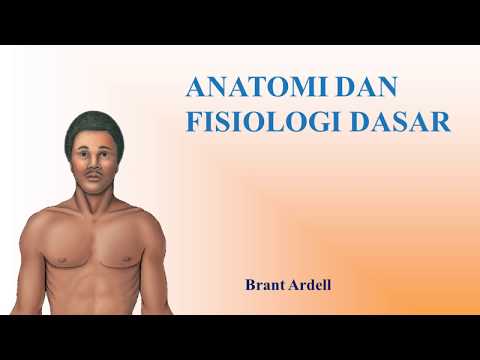 Video: Mengapa anatomi dan fisiologi begitu sulit?