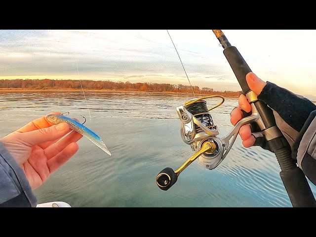 DO THIS When Striper Fishing is Tough. PROS make this Simple