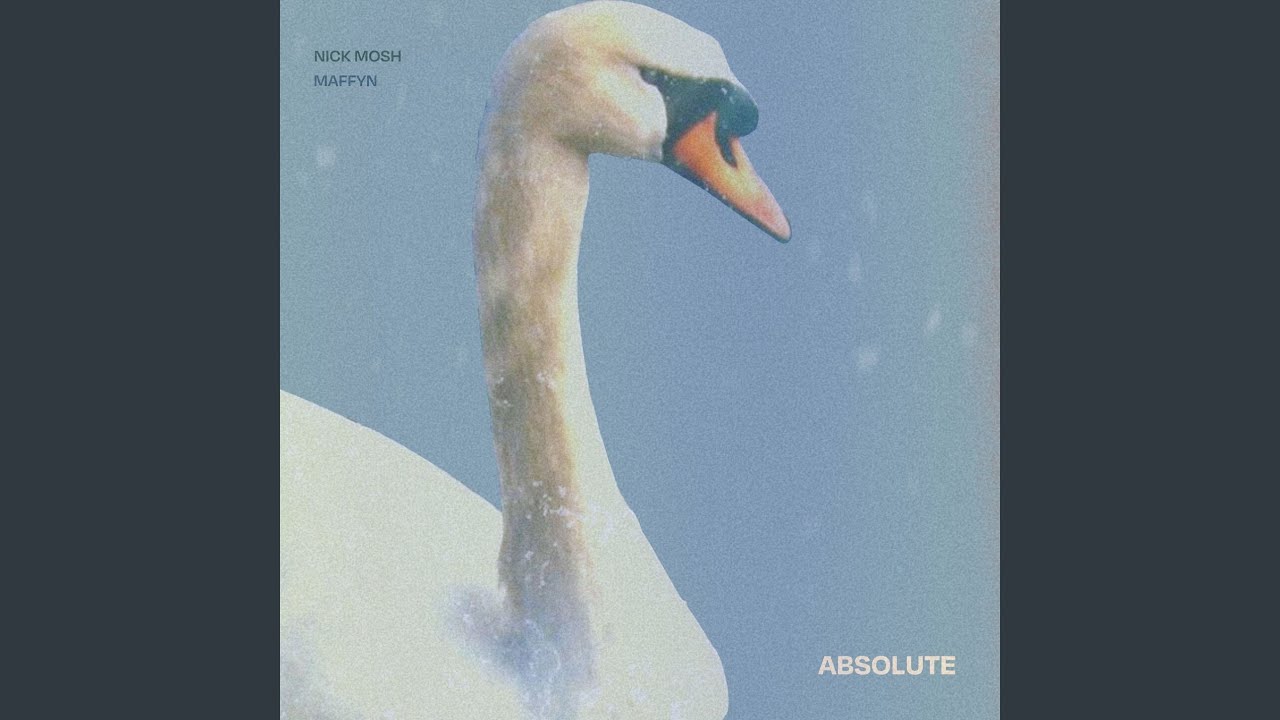 Mira Absolute en YouTube Mira Absolute en YouTube