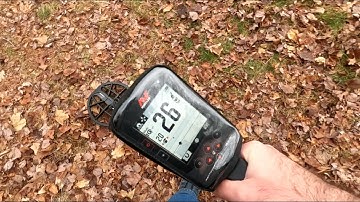 Minelab Manticore & Minelab Equinox 900 Comparing Signals