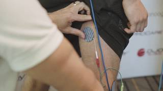 Measure Muscle Activity with EMG Biofeedback - Well Aligned Cammeray