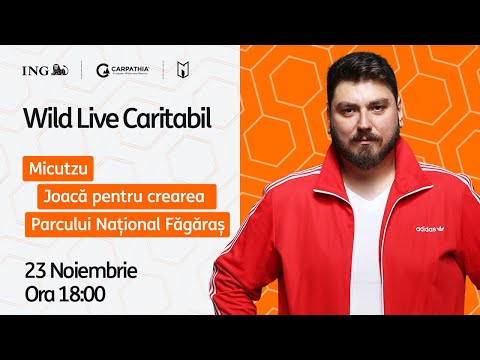 Wild Live Caritabil - Micutzu joaca pentru crearea Parcului National Fagaras