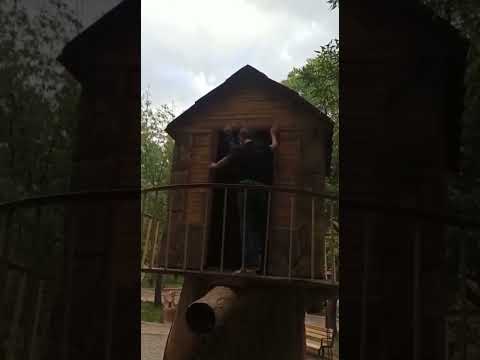 كوخ السنافر