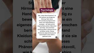 Wenn Die Hand Lebt