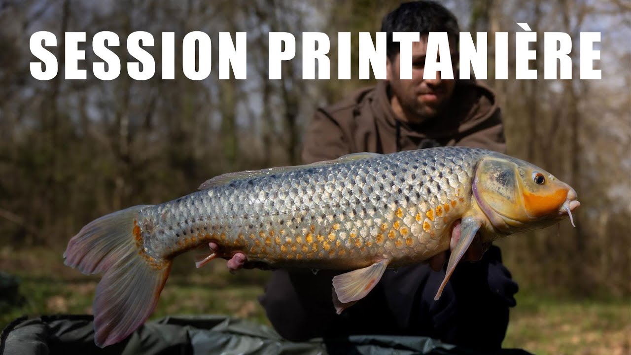 Première session du PRINTEMPS et déjà en COULEUR !