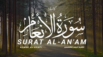 سورة الأنعام كاملة القارىء أحمد الشافعي  |SURAT Al-AN'AM full