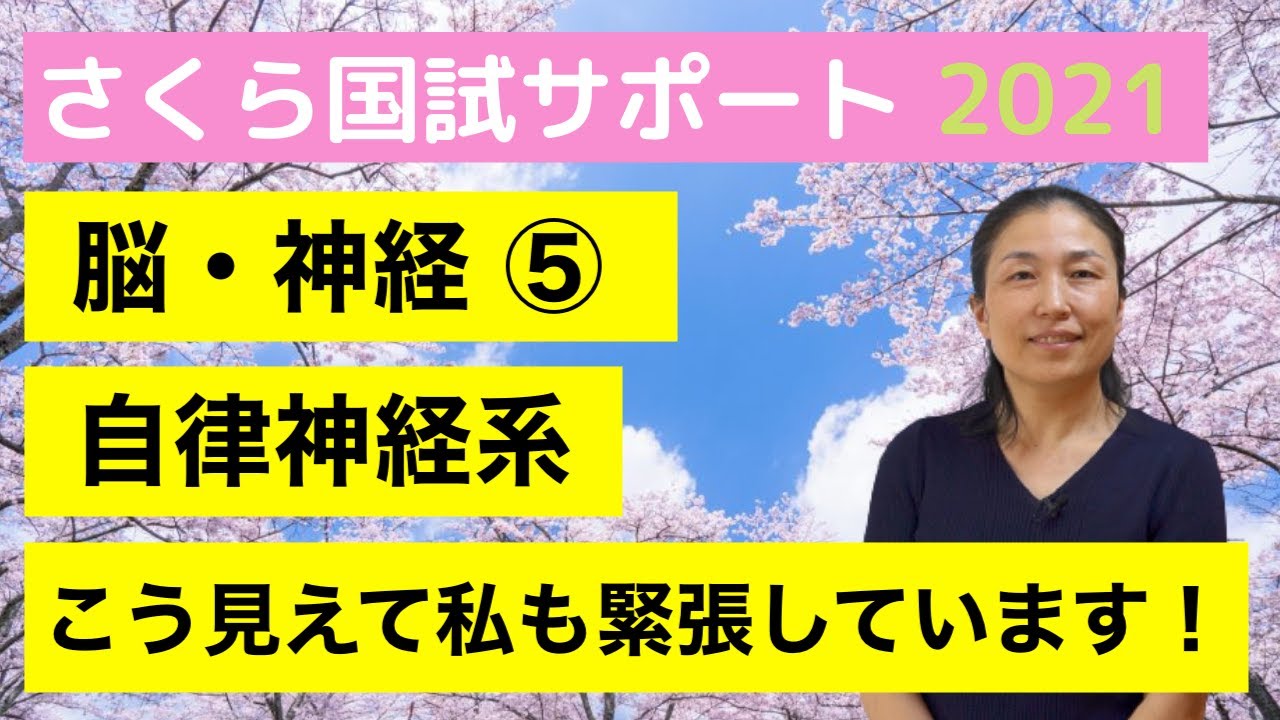 【冷静と情熱のあいだ】脳神経⑤「自律神経」【さくら国試サポート】