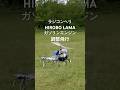 #ラジコンヘリ #HIROBO #LAMA #ガソリンエンジン