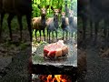 #asmr #asmrcooking #outdoorcooking #steak #steakasmr #satisfying #foodasmr #bbqmeat #smokegrill