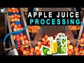 फ़ैक्टरी में सेब का जूस कैसे बनाया जाता है - Modern Bottled Apple Juice Technology - Documentary