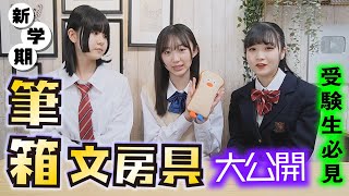 筆箱・文房具紹介！受験生のアイテム完全公開【のえのん＋ももかチャンネル】