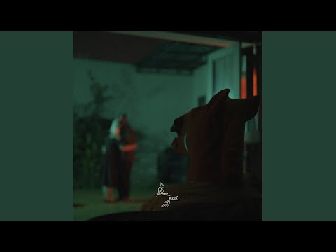 Bungkam - Daun Jatuh