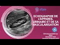 Echographie de lappareil urinaire et de sa vascularisation manip to manip