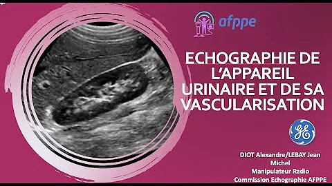 Qu'est-ce qu'une Echographie rénale ?