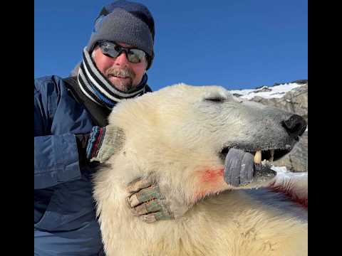 Polar Bear Hunt 2026 Out Of Makkovik Labrador