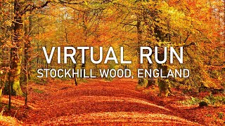 Virtual Run | Stockhill Wood in Autumn | Mendip Hills | 4K POV Treadmill Scenery