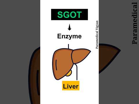 SGOT, LFT Report Kaise Padhe - 2 Liver Function Test | Blood Test | #lft #shorts #paramedicalvigyan