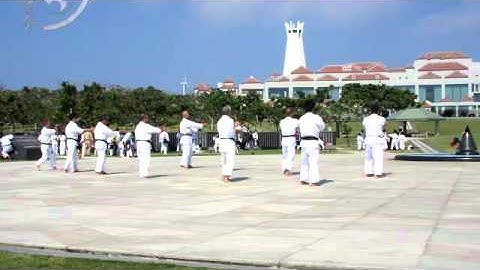 Seiryu Kata. Uechi Ryu Karate. 十六型. 上地流空手
