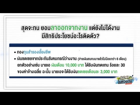 ลาออกจากงาน แต่ยังไม่ได้งาน มีช่องทางไหน ได้เงินติดมือมาบ้าง? #รอดไปด้วยกัน  - Youtube