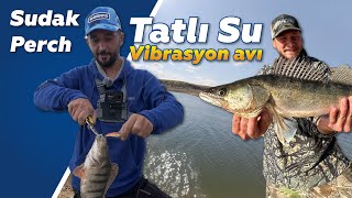 Download Lagu Ahmet Can ile Dev Sudakların Peşindeyiz / Edirne / Keşan / İpsala / Saros Körfezi / Gölde At çek MP3 Download Lagu Ahmet Can ile Dev Sudakların Peşindeyiz / Edirne / Keşan / İpsala / Saros Körfezi / Gölde At çek MP3