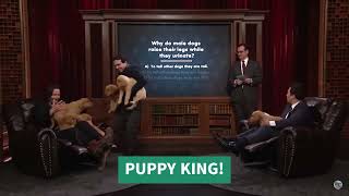 Keanu Reeves The Puppy King