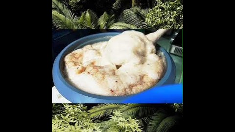 Bọt từ enzyme bồ hòn homemade