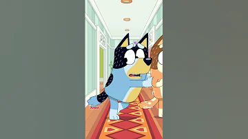 All New Bluey Available On Disney Junior And Disney 4 7 And 4 14 Ondisneyplus Disney Com 