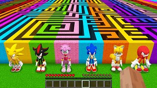 WHAT INSIDE MAZE SONIC! SHADOW SONIC! SUPER SONIC! AMY ROSE! KNUCKLES! TAILS in MINECRAFT