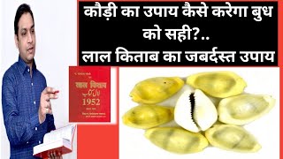 100 कौड़ियों का उपाय क्या है_Koudi Ka Upay For Budh in lal Kitab