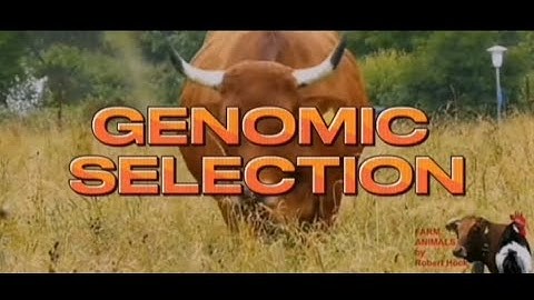 Genomic Selection