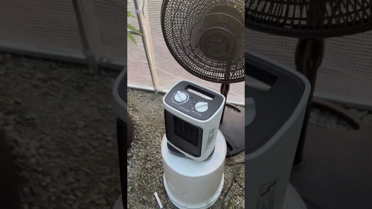 Coming along nicely out here in the PNW! I’d be screwed with out the roof 