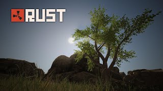 Rust GTX 1650 , Ryzen 5 3600 Test