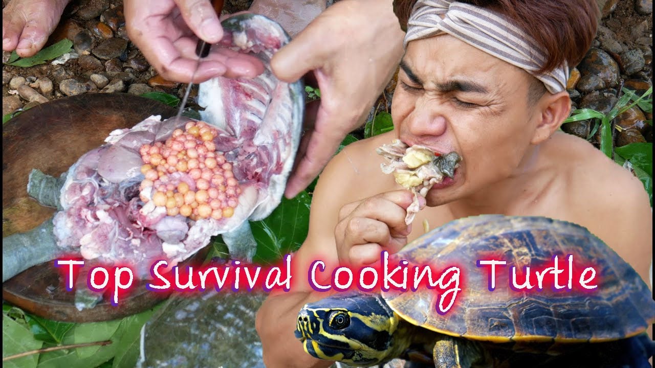 Top Survival Skills :Cooking Softshell Turtle Eat With Chili Sauce ...