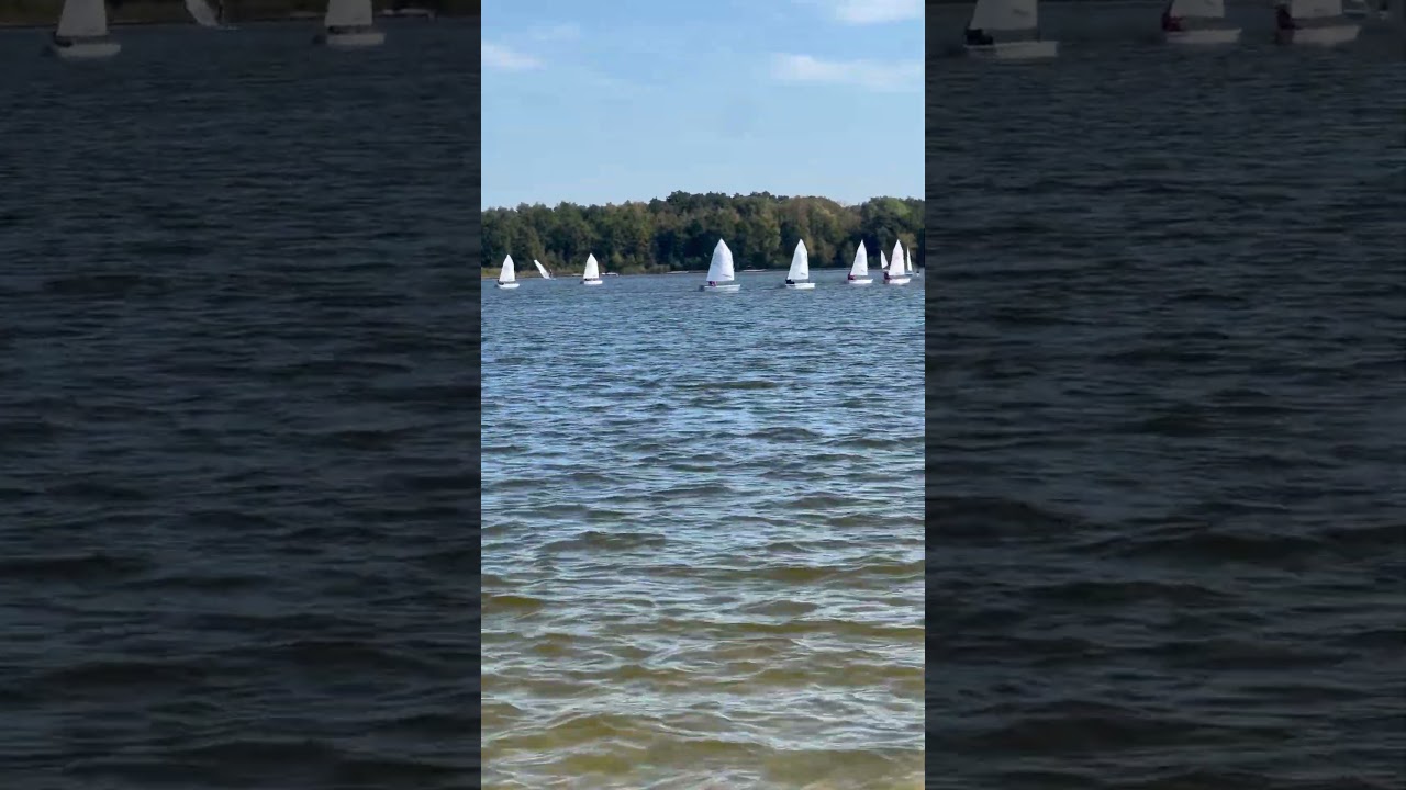 Gifhorner Sailing Cup #Optimist #sailing #segel #セーリング