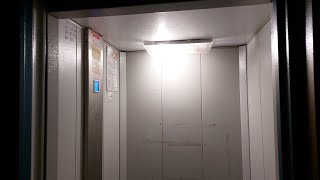 Необычный модернизированный лифт 1980 г. @ ул. Горького, 113, под. 2 (г. Владимир)