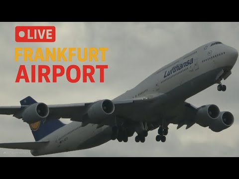 LIVE🔴 Frankfurt Airport | sunday morning Planespotting🛫