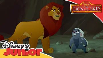 The Lion Guard | Simba and Bunga Get Lost | Official Disney Channel Africa