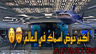مطار جدة الجديد .. ابداع  #مطار #جدة #aquarium