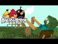 Monster School: ANGRY BIRDS - Minecraft Animation