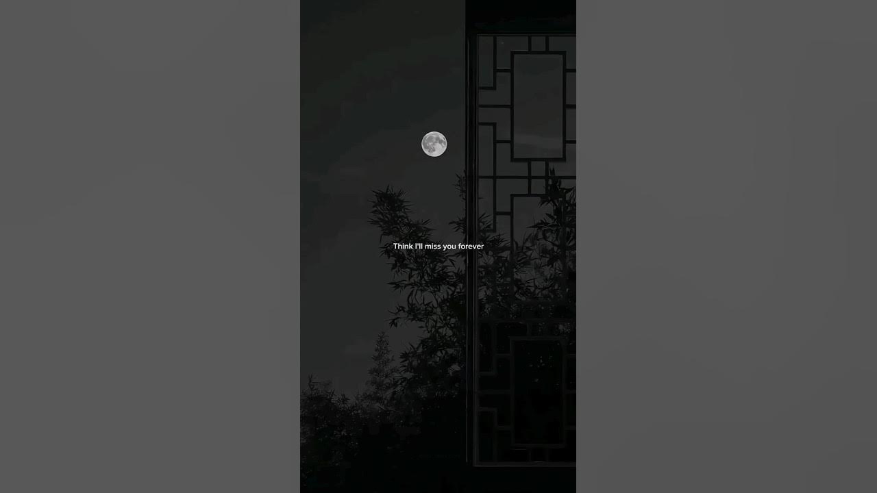 Lana Del Rey - Summertime Sadness | Think I'll miss you forever #song #lyrics #music #slowed #lana Lana Del Rey - Summertime Sadness | Think I'll miss you forever #song #lyrics #music #slowed #lana