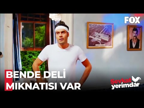 Şevkat'in Derdi Bitmiyor - Şevkat Yerimdar 2  Bölüm