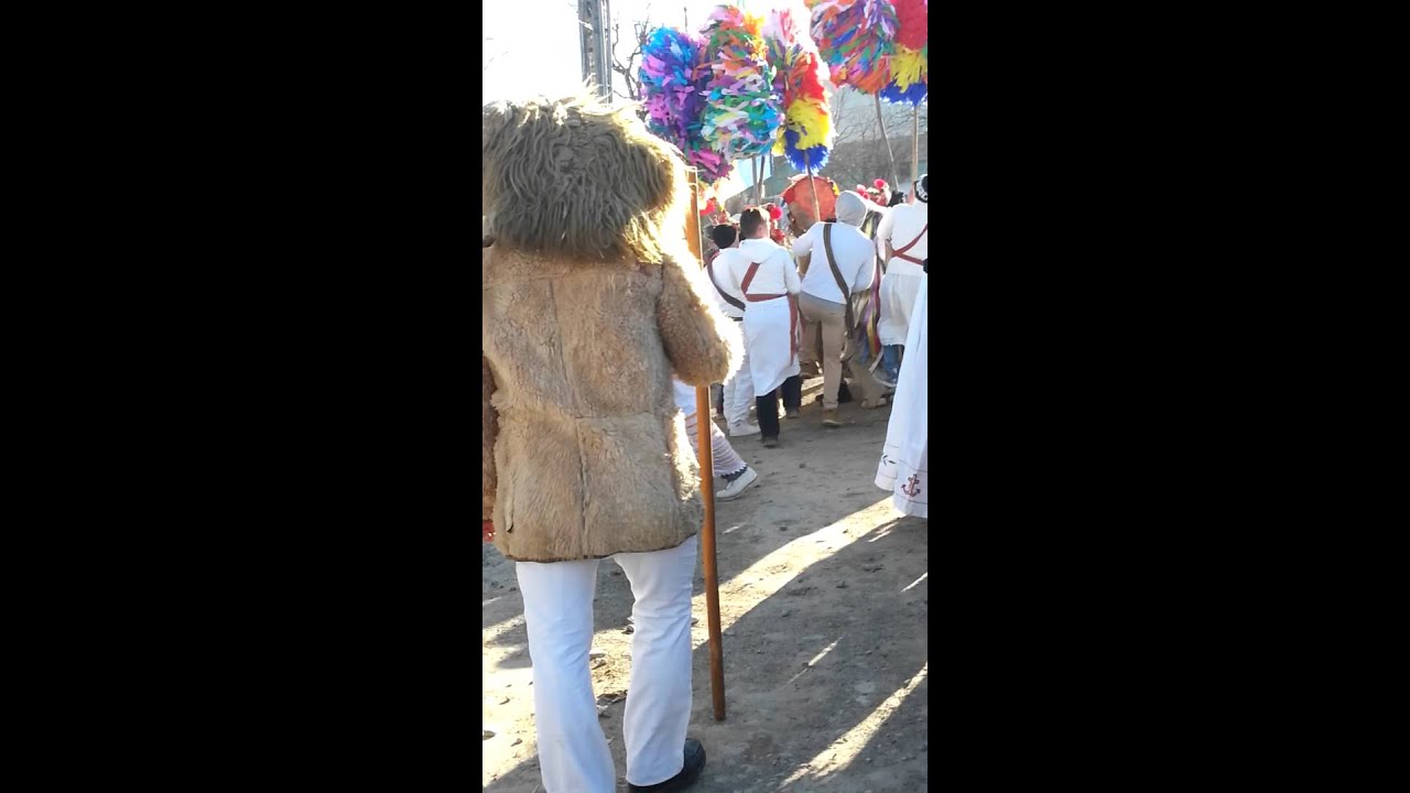 video phone lyrics Capra din oituz 2016!