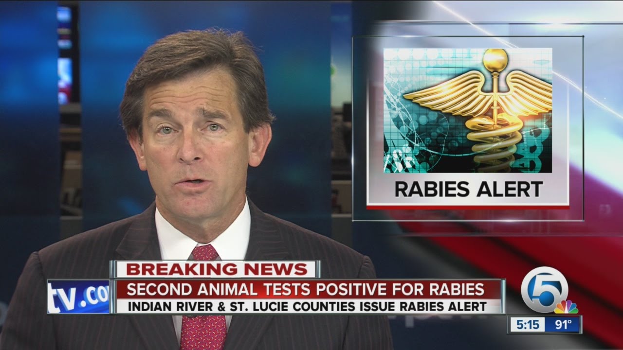 Second animal tests positive for rabies