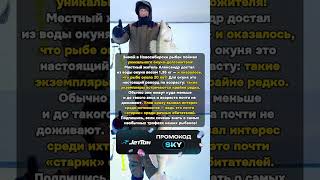 20-летний окунь! Уникальный улов в Новосибирске #рыбалка #Новосибирск #окунь #рекордныйулов