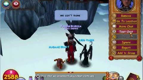 Wizard101 Strange Bug