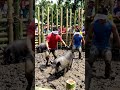 one of the most fun games in the province of philippines!.♥️ #funplay