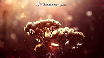 تلاوه خاشعه من الشيخ المنشاوي (ايات الحج )